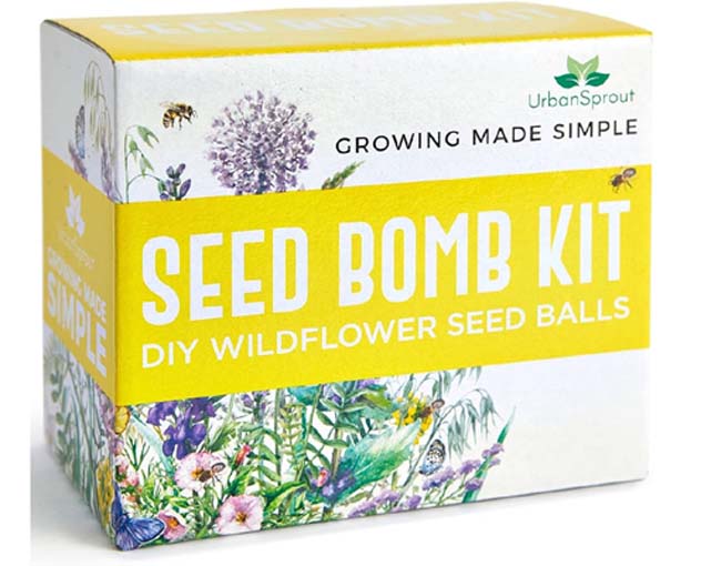 Free British Bee Wildflower Kit